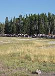 Yellowstone Park